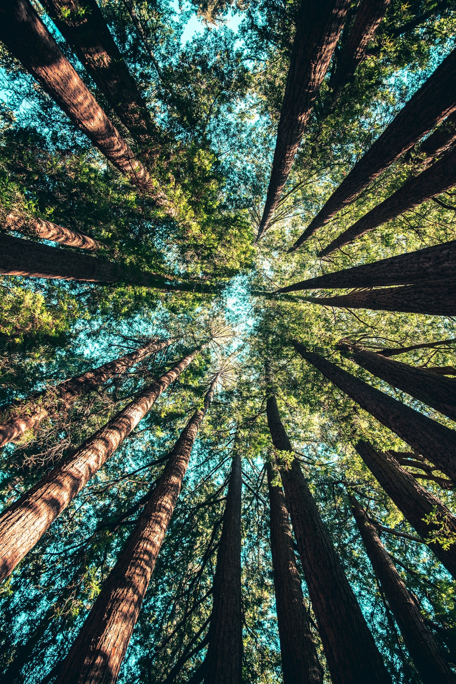 Explorando parques nacionais: o que levar?